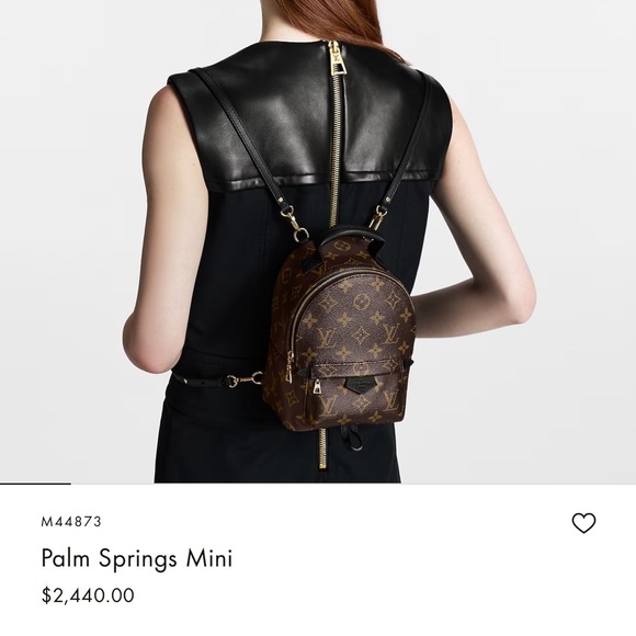 Louis Vuitton Palm Springs Mini - Picture 4 of 4